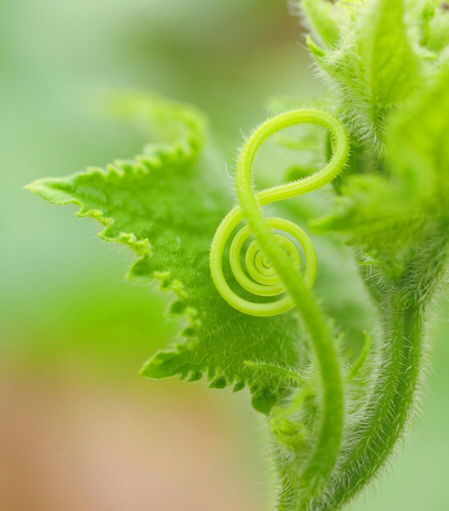 www.dreamstime.com
